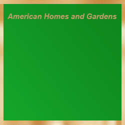 American Homes and Gardnes Magazine Banner Ads
